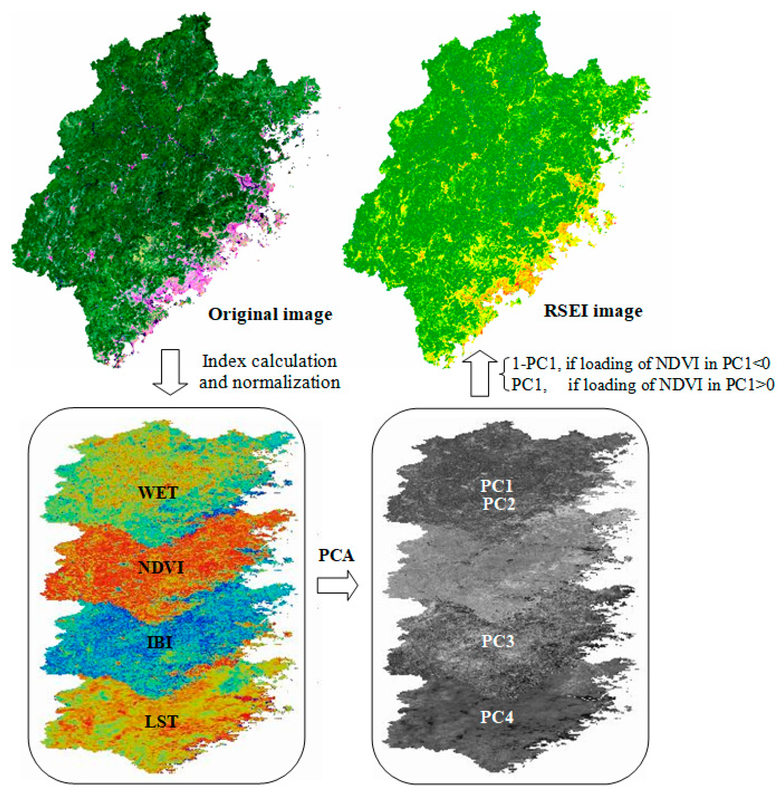 RSEI indices illustration
